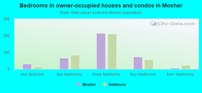 Bedrooms in owner-occupied houses and condos in Mosher