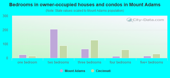 Bedrooms in owner-occupied houses and condos in Mount Adams