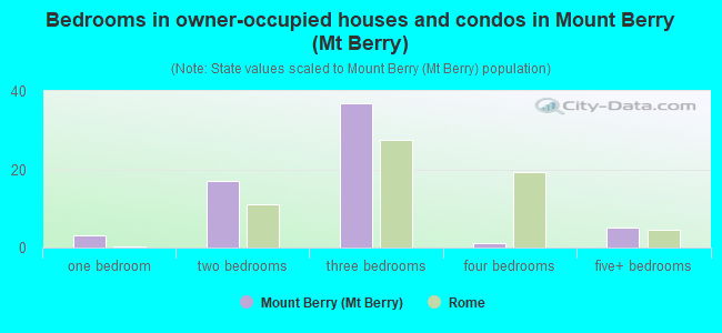 Bedrooms in owner-occupied houses and condos in Mount Berry (Mt Berry)