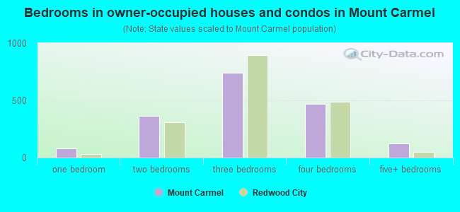 Bedrooms in owner-occupied houses and condos in Mount Carmel