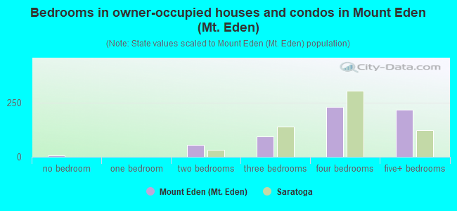 Bedrooms in owner-occupied houses and condos in Mount Eden (Mt. Eden)