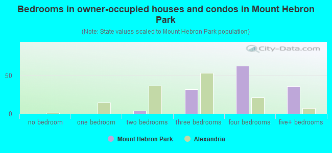 Bedrooms in owner-occupied houses and condos in Mount Hebron Park