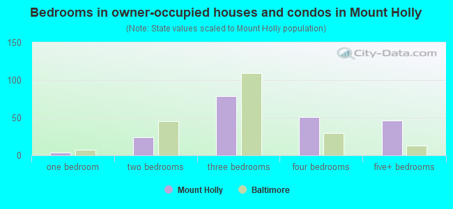 Bedrooms in owner-occupied houses and condos in Mount Holly