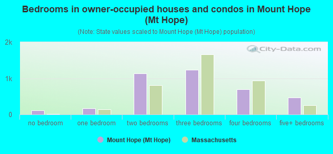 Bedrooms in owner-occupied houses and condos in Mount Hope (Mt Hope)