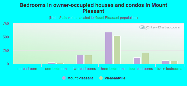 Bedrooms in owner-occupied houses and condos in Mount Pleasant