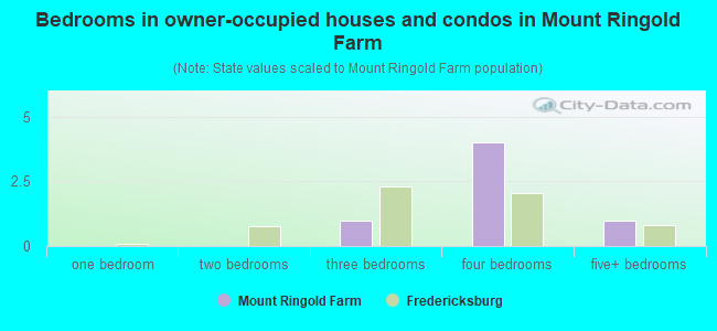 Bedrooms in owner-occupied houses and condos in Mount Ringold Farm