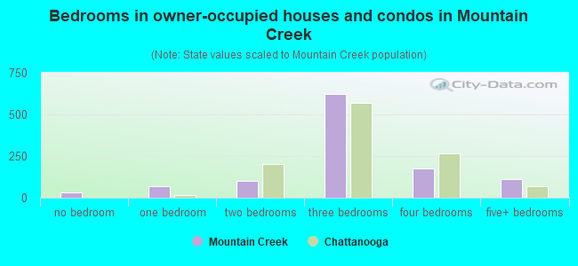 Bedrooms in owner-occupied houses and condos in Mountain Creek