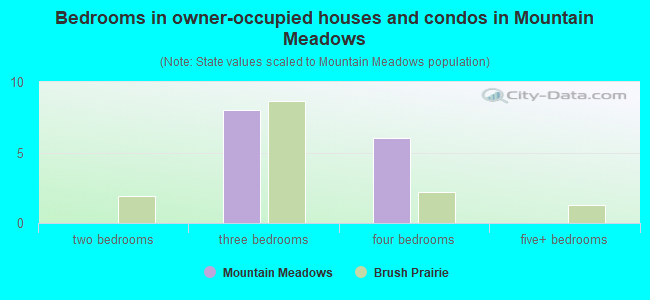 Bedrooms in owner-occupied houses and condos in Mountain Meadows