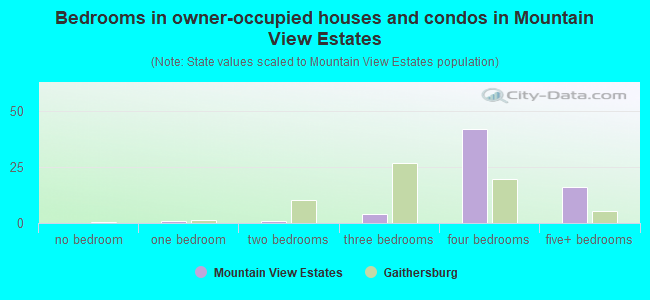 Bedrooms in owner-occupied houses and condos in Mountain View Estates