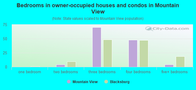 Bedrooms in owner-occupied houses and condos in Mountain View