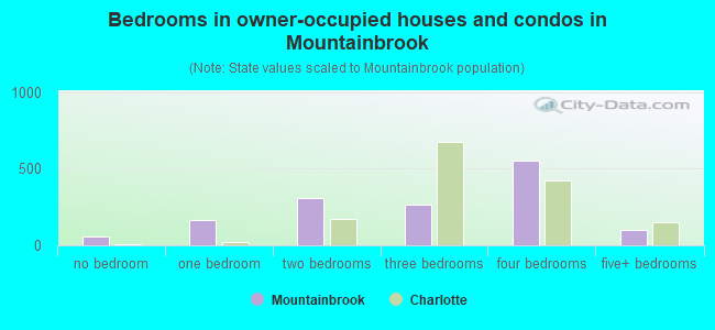 Bedrooms in owner-occupied houses and condos in Mountainbrook