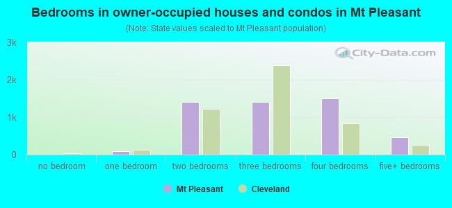 Bedrooms in owner-occupied houses and condos in Mt Pleasant