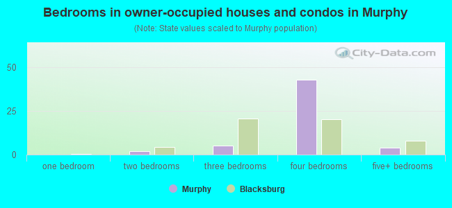 Bedrooms in owner-occupied houses and condos in Murphy