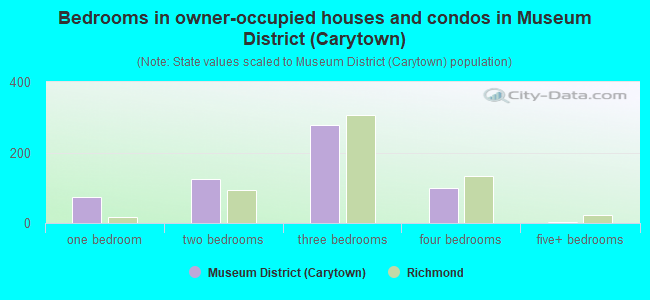 Bedrooms in owner-occupied houses and condos in Museum District (Carytown)