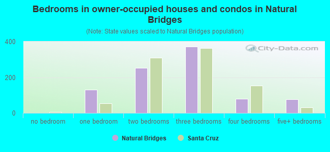 Bedrooms in owner-occupied houses and condos in Natural Bridges