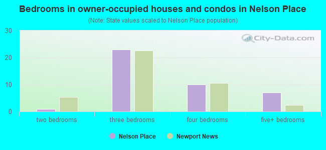Bedrooms in owner-occupied houses and condos in Nelson Place