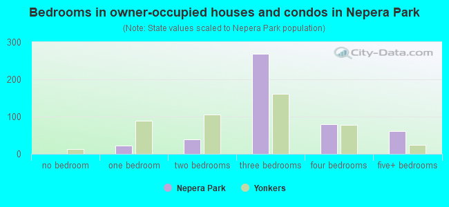Bedrooms in owner-occupied houses and condos in Nepera Park