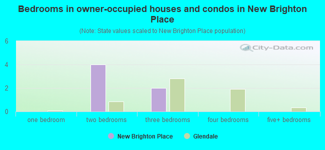 Bedrooms in owner-occupied houses and condos in New Brighton Place