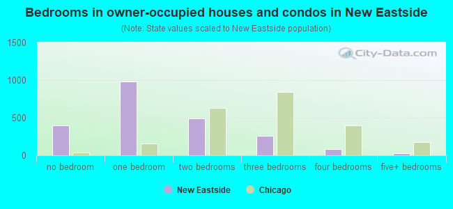 Bedrooms in owner-occupied houses and condos in New Eastside