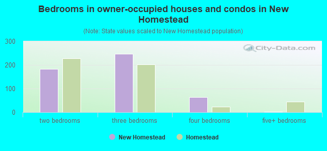 Bedrooms in owner-occupied houses and condos in New Homestead