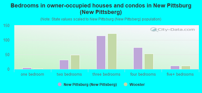 Bedrooms in owner-occupied houses and condos in New Pittsburg (New Pittsberg)