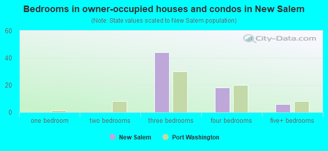 Bedrooms in owner-occupied houses and condos in New Salem