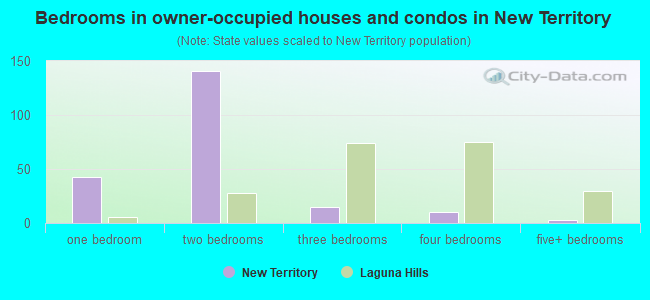 Bedrooms in owner-occupied houses and condos in New Territory