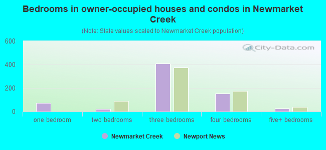 Bedrooms in owner-occupied houses and condos in Newmarket Creek