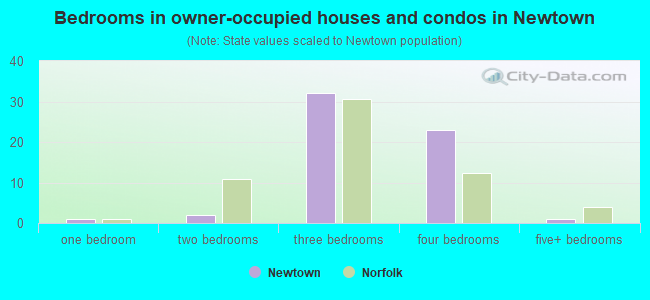 Bedrooms in owner-occupied houses and condos in Newtown