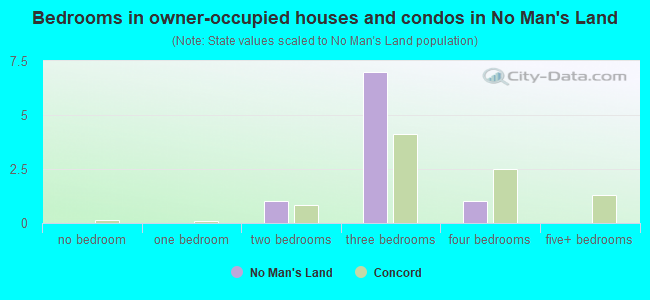 Bedrooms in owner-occupied houses and condos in No Man's Land