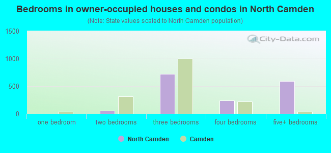 Bedrooms in owner-occupied houses and condos in North Camden