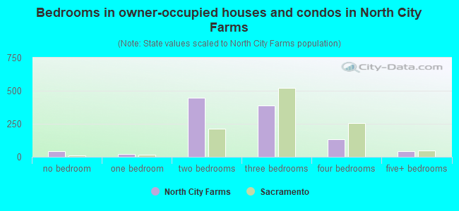 Bedrooms in owner-occupied houses and condos in North City Farms