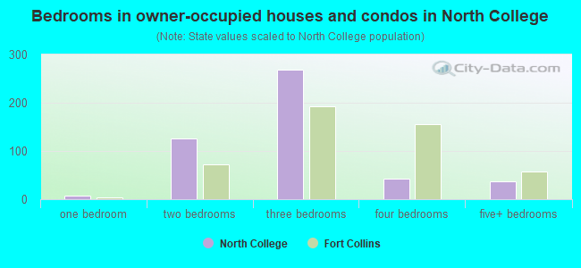Bedrooms in owner-occupied houses and condos in North College