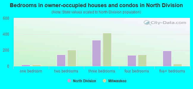 Bedrooms in owner-occupied houses and condos in North Division