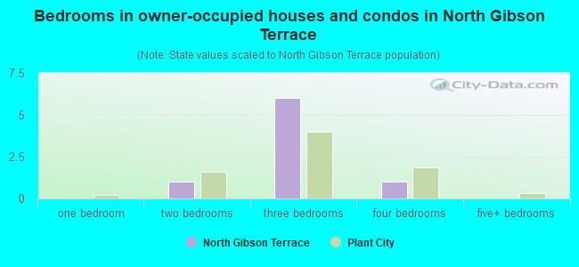 Bedrooms in owner-occupied houses and condos in North Gibson Terrace
