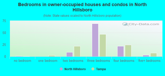 Bedrooms in owner-occupied houses and condos in North Hillsboro