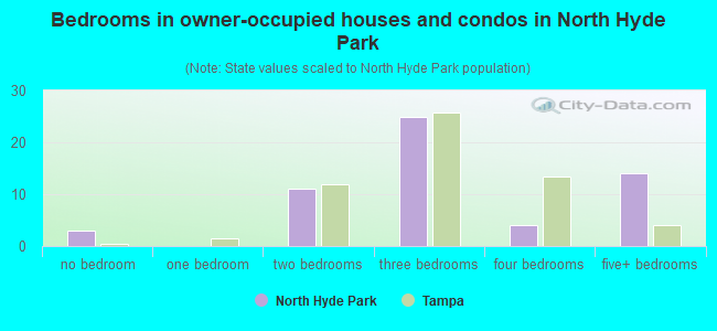 Bedrooms in owner-occupied houses and condos in North Hyde Park