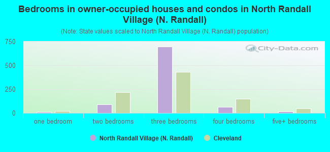 Bedrooms in owner-occupied houses and condos in North Randall Village (N. Randall)