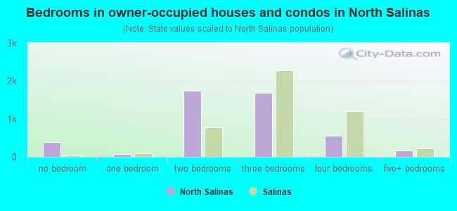 Bedrooms in owner-occupied houses and condos in North Salinas