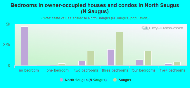 Bedrooms in owner-occupied houses and condos in North Saugus (N Saugus)