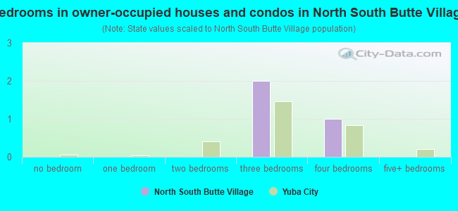 Bedrooms in owner-occupied houses and condos in North  South Butte Village