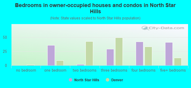 Bedrooms in owner-occupied houses and condos in North Star Hills