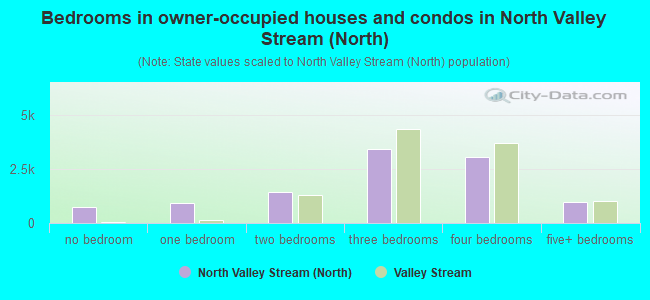 Bedrooms in owner-occupied houses and condos in North Valley Stream (North)