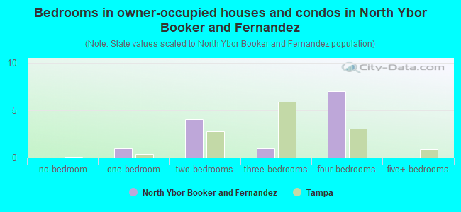 Bedrooms in owner-occupied houses and condos in North Ybor Booker and Fernandez
