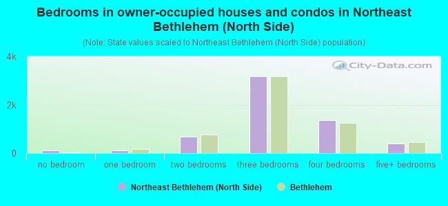 Bedrooms in owner-occupied houses and condos in Northeast Bethlehem (North Side)