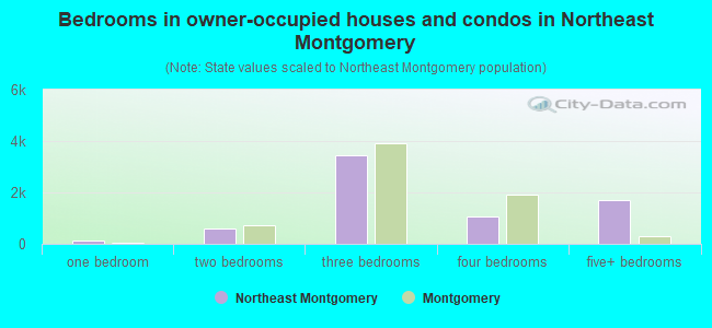 Bedrooms in owner-occupied houses and condos in Northeast Montgomery