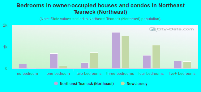 Bedrooms in owner-occupied houses and condos in Northeast Teaneck (Northeast)