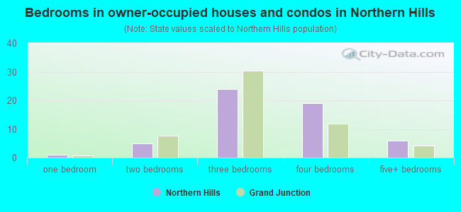 Bedrooms in owner-occupied houses and condos in Northern Hills