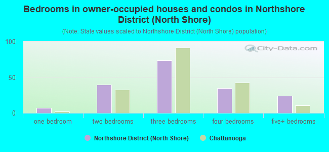 Bedrooms in owner-occupied houses and condos in Northshore District (North Shore)