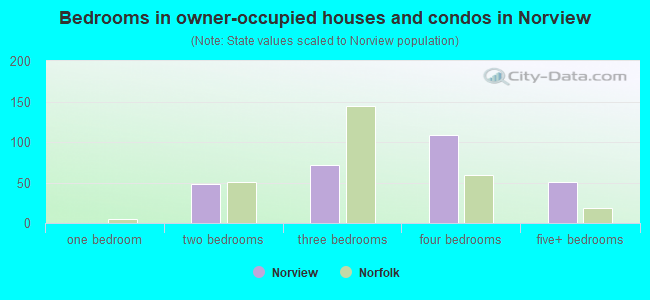 Bedrooms in owner-occupied houses and condos in Norview